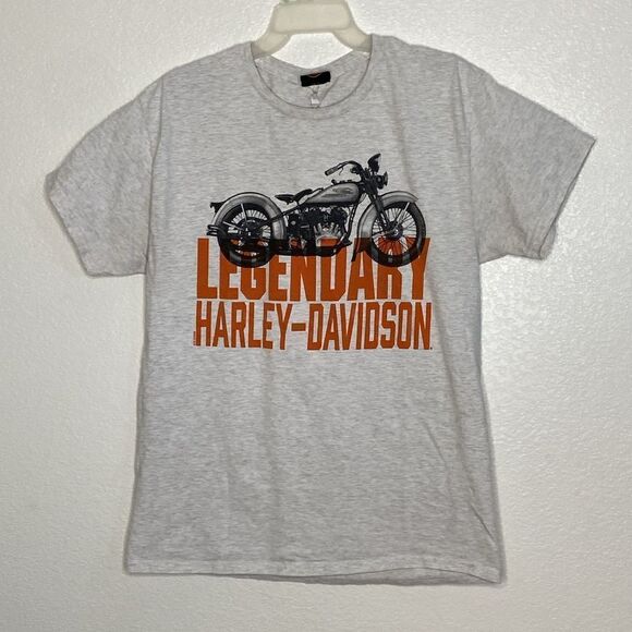HARLEY DAVIDSON Men’s Light Gray T Shirt Size L - Picture 1 of 4